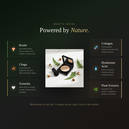 Moisturizing Mushroom Air Cushion Collagen Cream